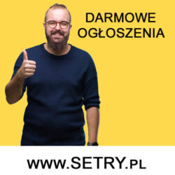 Gewerbe a ubezpieczenieFirma w Polsce praca w Niemczech gdzie podatek